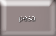 www.pesa.pl